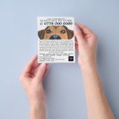 Cute Dog, Pet Sitting Service Adverteren Flyer (Hand)