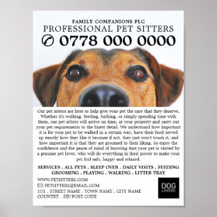 Cute Dog, Pet Sitting Service Adverteren Poster
