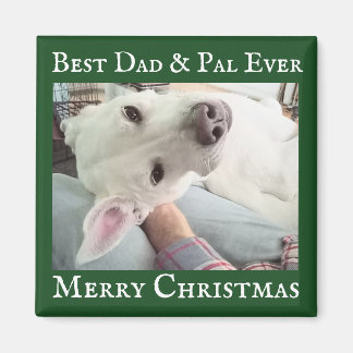Cute Dog Photo Best Dad Pal Green and White  Magneet