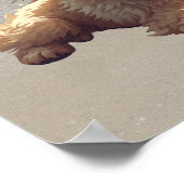 Cute Dog Print, Value Poster Paper (Semi-Gloss) (Coin)