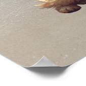 Cute Dog Print, Value Poster Paper (Semi-Gloss) (Coin)