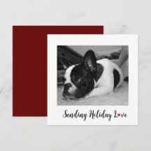 Cute Dog Sending Holiday Love
