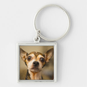 Cute Dog-sleutelketen 10 Sleutelhanger