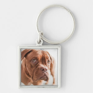 Cute Dog-sleutelketen 11 Sleutelhanger