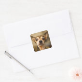 Cute Dog stickers 10 (Envelop)