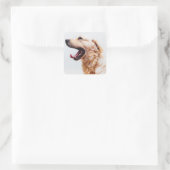 Cute Dog stickers 6 (Tas)