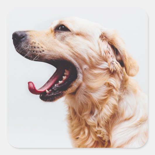 Cute Dog stickers 6 (Voorkant)