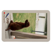 Cute Dog Survey Backyard and Creek Magneet (Horizontaal)