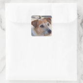 Cute dog vierkante sticker (Tas)