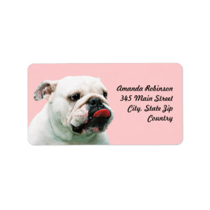 Cute dog white Bulldog Etiket