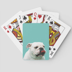 Cute dog white Bulldog Pokerkaarten
