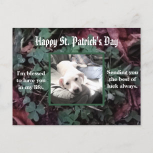 Cute Dog zit met pa zijn beste vriend Green Briefkaart