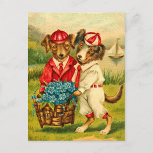 Cute  Dogs Briefkaart