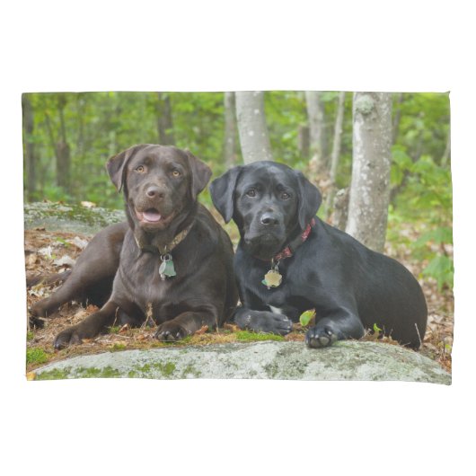 Cute Dogs Chocolate Lab Black Labrador Retriever Kussensloop (Voorkant)