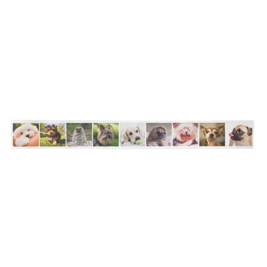 Cute Dogs of UW PHOTOS aangepaste lint (Voorkant)