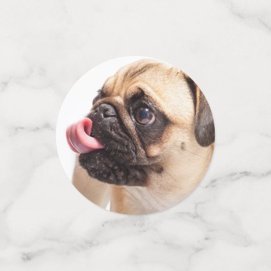 Cute Dogs table confetti (Petit recto)