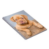 Cute Dogue de Bordeaux Puppy Dog Notitieboek (Rechterzijde)