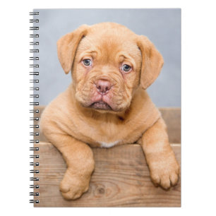 Cute Dogue de Bordeaux Puppy Dog Notitieboek