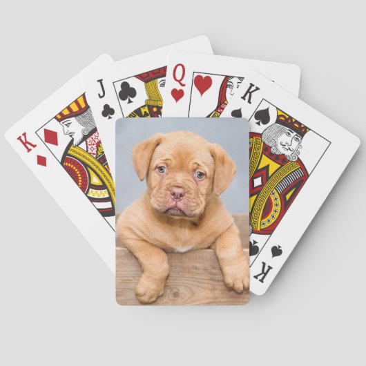 Cute Dogue de Bordeaux Puppy Dog Pokerkaarten (Achterkant)