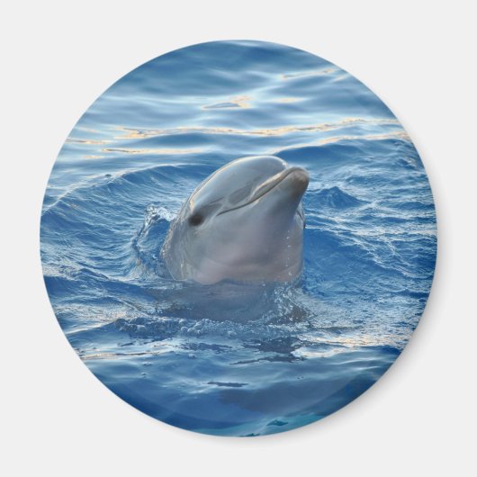 Cute Dolphin Face in Ocean Magneet (Voorkant)