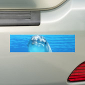 Cute Dolphin Marine Animal in Blue Zee Bumpersticker (Op auto)