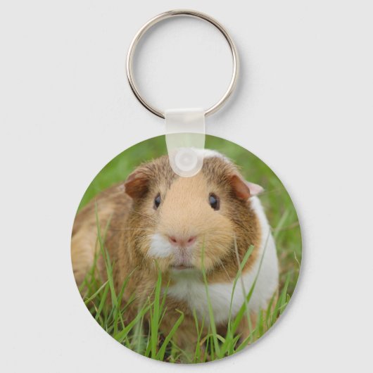 Cute Domestic Guinea Pig Sleutelhanger (Voorkant)