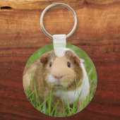 Cute Domestic Guinea Pig Sleutelhanger (Voorkant)