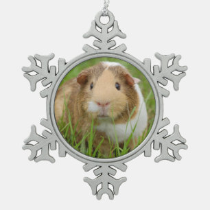 Cute Domestic Guinea Pig Tin Sneeuwvlok Ornament