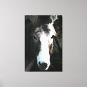 CUTE DONKEY CANVAS AFDRUK (Voorkant)