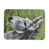 CUTE DONKEY MAGNEET (Horizontaal)