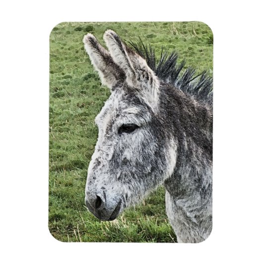 CUTE DONKEY MAGNEET (Verticaal)
