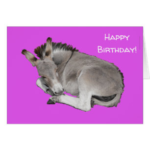 Cute Donkey op Paars