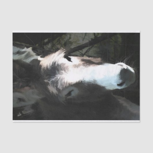 CUTE DONKEY TISSUEPAPIER (Voorkant)