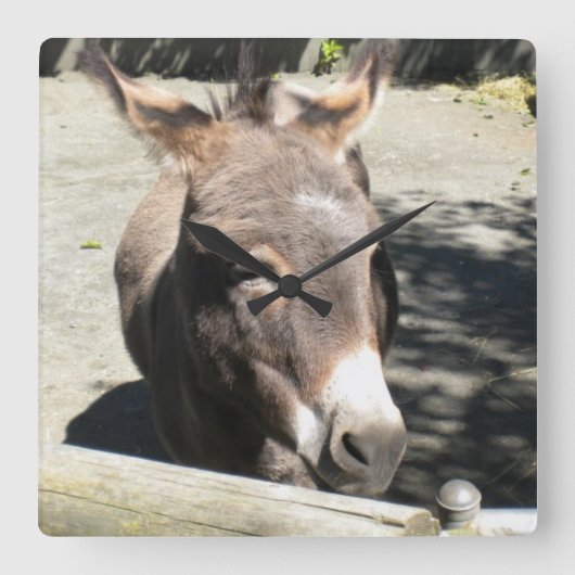 Cute Donkey Wall klok (Voorkant)