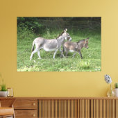 Cute Donkeys Canvas Afdruk (Insitu (Woonkamer))