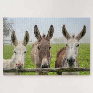 Cute Donkeys In Misty Paddock Animals Nature Legpuzzel