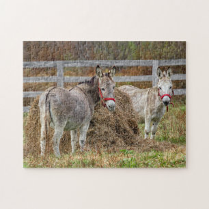 Cute Donkeys Legpuzzel