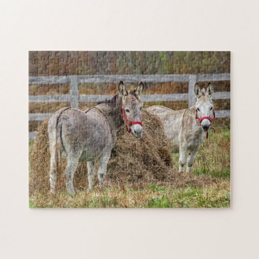 Cute Donkeys Legpuzzel (Horizontaal)