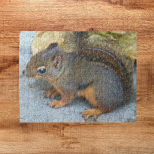 Cute Douglas Squirrel Natuur Foto Legpuzzel
