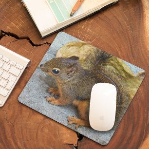 Cute Douglas Squirrel Natuur Foto Muismat