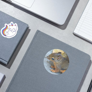 Cute Douglas Squirrel Natuur Foto Ronde Sticker