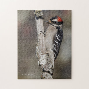 Cute Downy Woodpecker Bird on Branch Legpuzzel