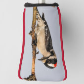 Cute Downy Woodpecker op fruitbomen Golfheadcover (Draai 90)