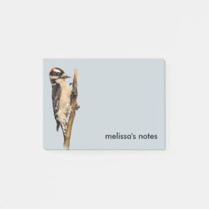 Cute Downy Woodpecker op fruitbomen Post-it® Notes