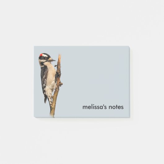 Cute Downy Woodpecker op fruitbomen Post-it® Notes (Voorkant)