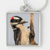 Cute Downy Woodpecker op fruitbomen Sleutelhanger (Voorkant)