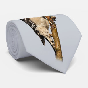 Cute Downy Woodpecker op fruitbomen Stropdas