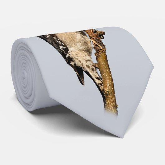 Cute Downy Woodpecker op fruitbomen Stropdas (Opgerold)