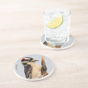 Cute Downy Woodpecker op fruitbomen Zandsteen Onderzetter