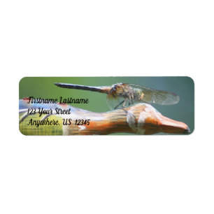 Cute Dragonfly Co Pilot Natuur Address Etiket